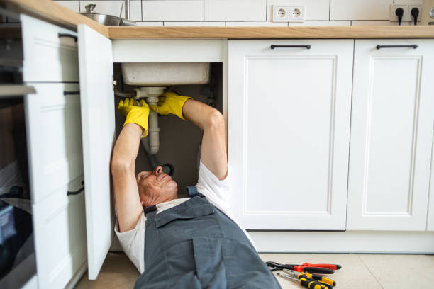 Best Clogged Drain Plumber  in Avilla, IN