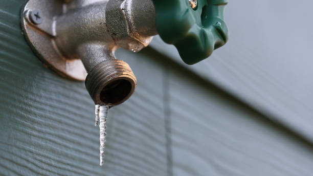 Best Affordable Plumbing Services  in Avilla, IN