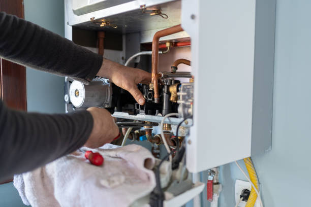 Best Plumbing Inspection Services  in Avilla, IN